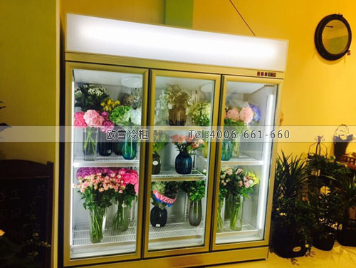 J070河南省鄭州市鄭東新區(qū)瑞園花店保鮮展示柜