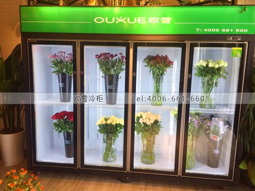 J069江蘇省無(wú)錫市有所花店保鮮展示柜