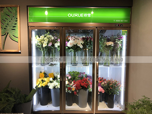 J087遼寧省錦州市芊朵花坊鮮花保鮮展示柜