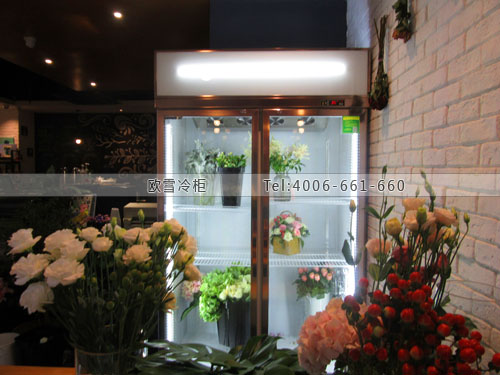 J074江蘇省南京市幽生活鮮花咖啡館保鮮展示柜