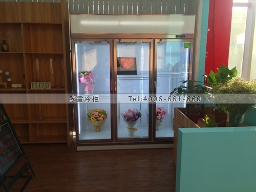 J068上海市寶山區(qū)家樂福鮮花店保鮮柜