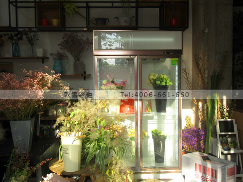 J059江蘇省南京市棲霞區(qū)轉(zhuǎn)角花店保鮮柜