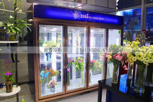 J080廣東省深圳市南山區(qū)FLOWER SHOP鮮花保鮮柜