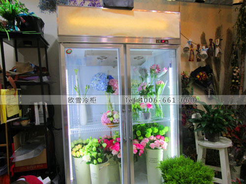 J042江蘇省南京市白下區(qū)MS.Blooming綻放花生活