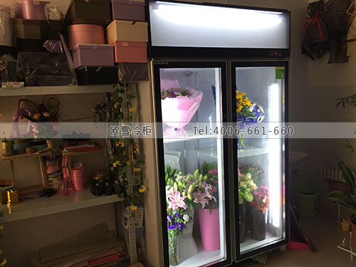J090湖北省武漢市洪山區(qū)敬花坊鮮花冷藏柜