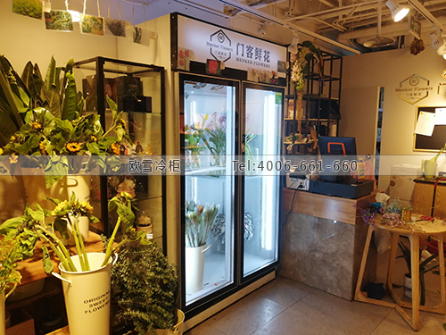 J111北京市朝陽區(qū)門客鮮花保鮮冷柜