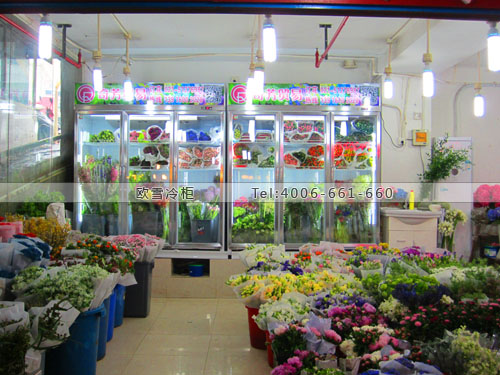 J034上海市普陀區(qū)奇芳貿易有限公司鮮花保鮮柜