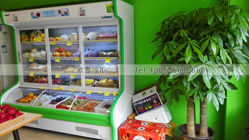 B922廣東省佛山市順德區(qū)沁果匯水果店保鮮柜