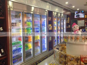 A285四川省綿陽市游仙鎮(zhèn)中國石油飲料展示柜