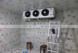 冷庫(kù)建設(shè)需要多少錢(qián)一平方？小型食品冷庫(kù)工程安裝