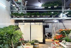 鮮花冷庫-江西贛州花店10立方的保鮮冷庫安裝